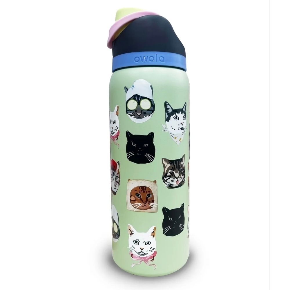 owala | Dining | Owala X Urban Outfitters Green Freesip Cat